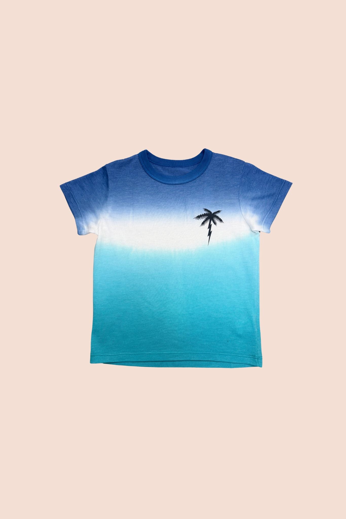Chaser Seafoam Lightning Palm Tee