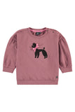 Baby Face Red Clay Poodle Sweatshirt
