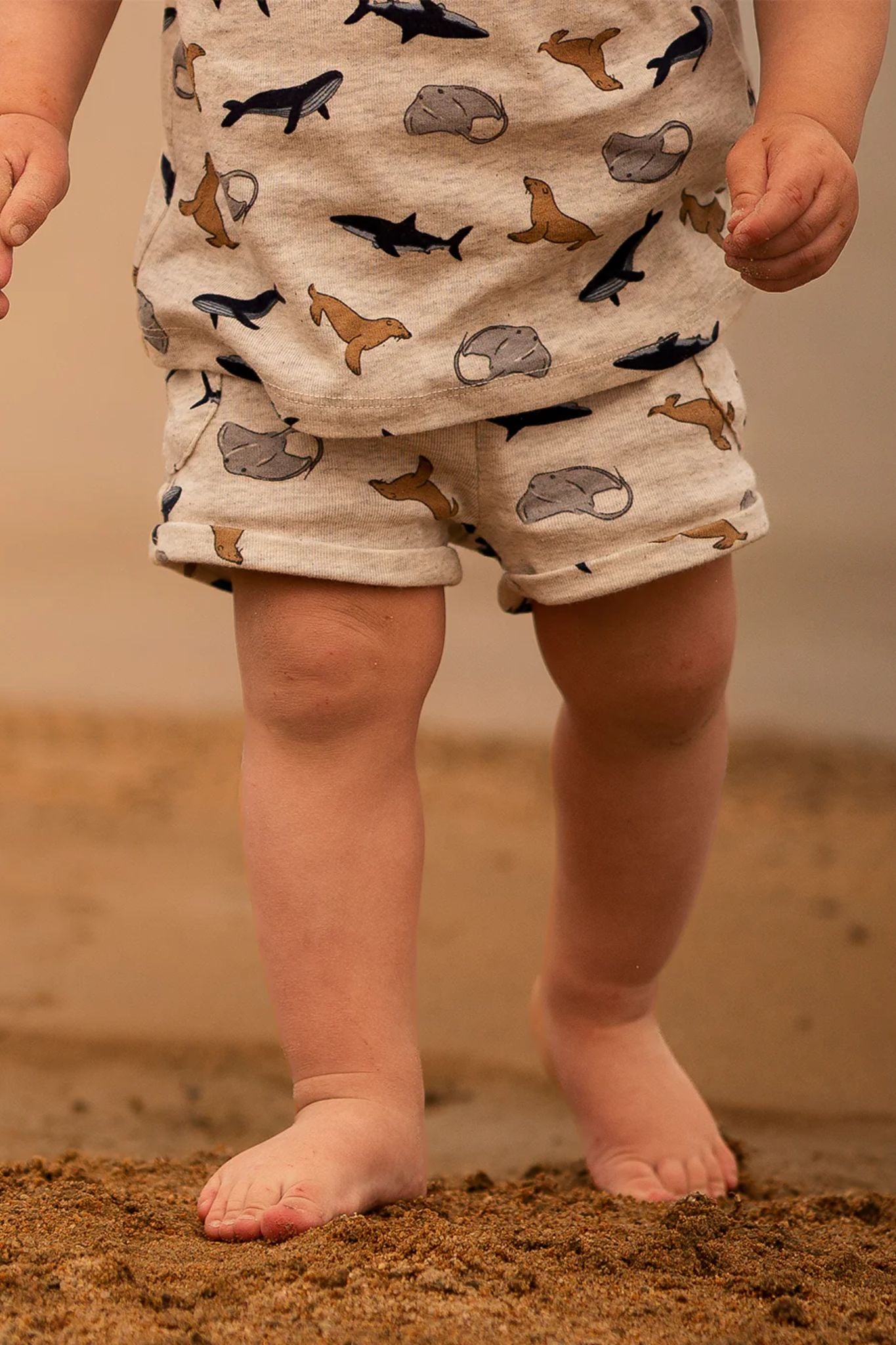 Organic Shark Shorts (Baby Boy)