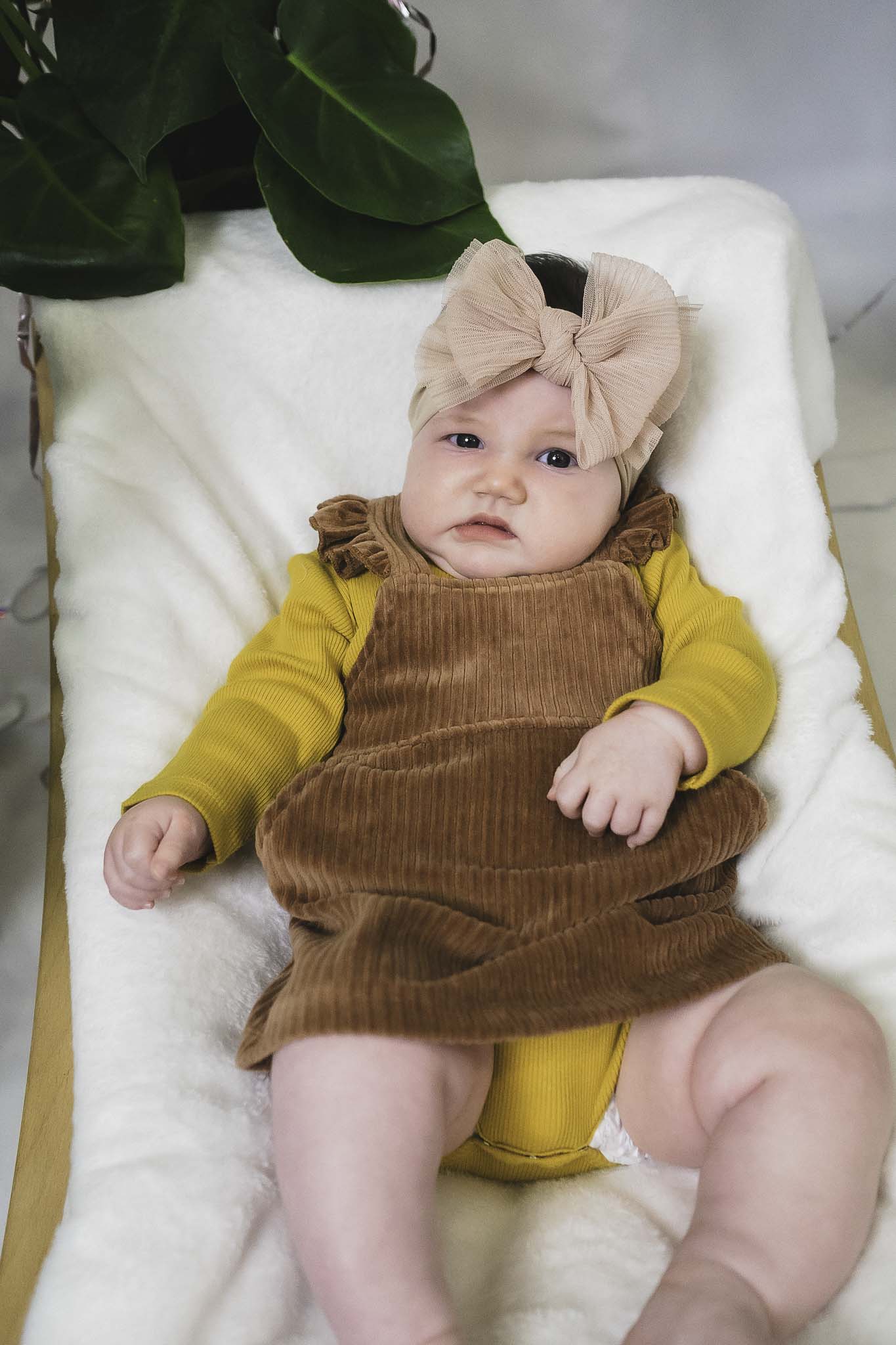 newborn brown dress Soft Brown, Rosy Winter Baby Dress, With Long Sleeves Size 3-6 Months Last One