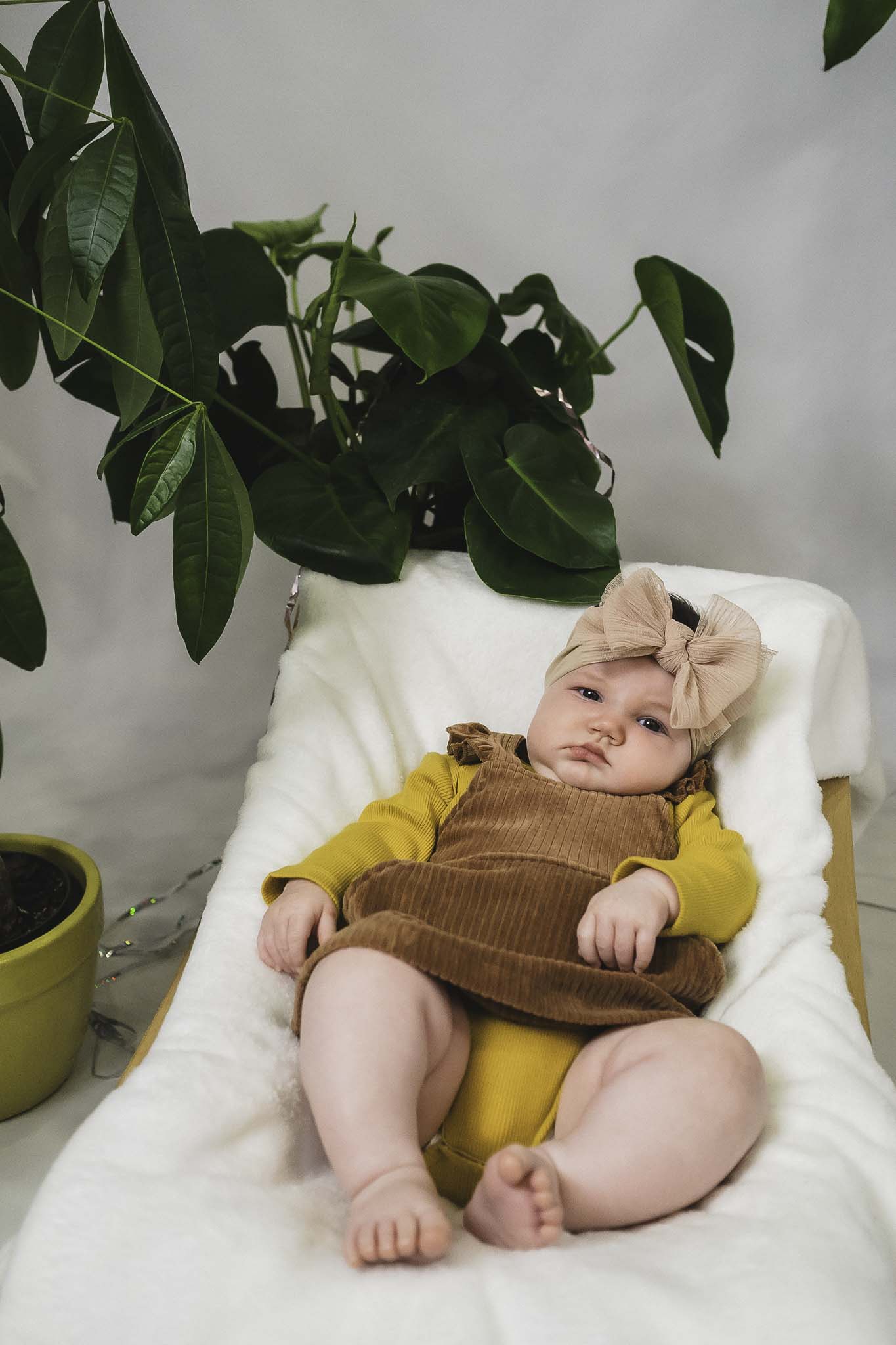 Corduroy Rib Brown Alyssa Dress (Baby Girl) Bowfish Kids Corduroy Rib Brown Alyssa Dress (Baby Girl) Bowfish Kids