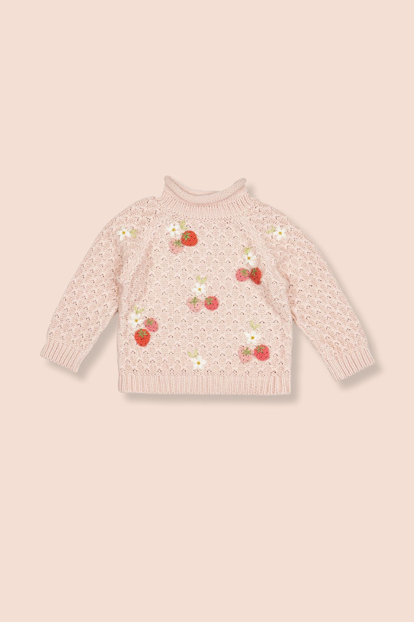 Wild Wawa Embroidered Strawberry Fields Sweater
