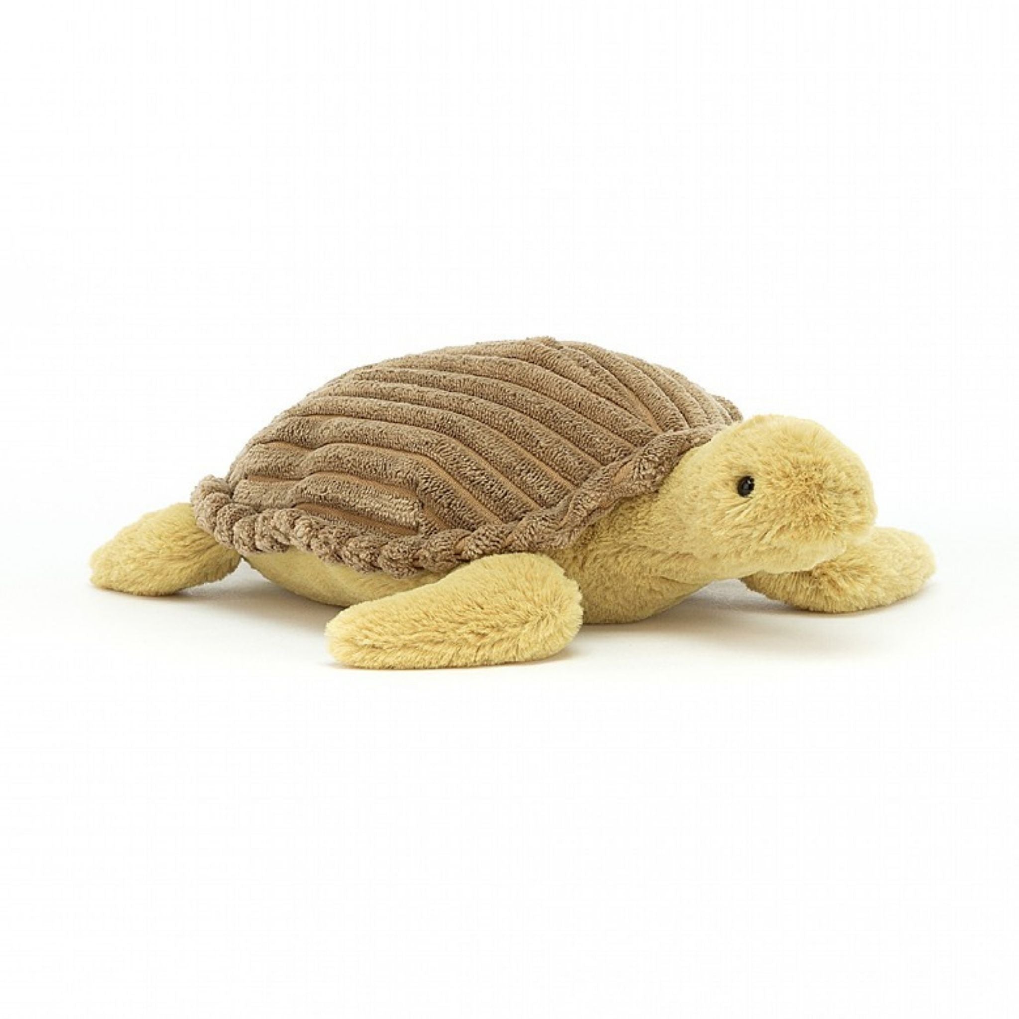 Terence Turtle (1+ Years)