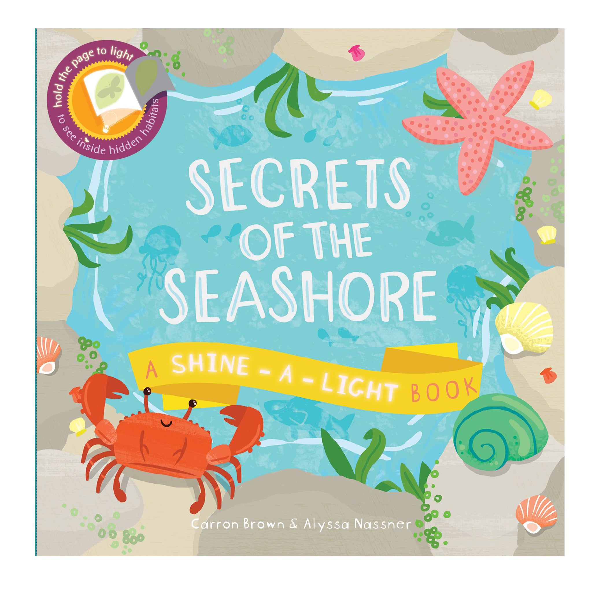 Secrets of the Seashore Book (4-8 Years)